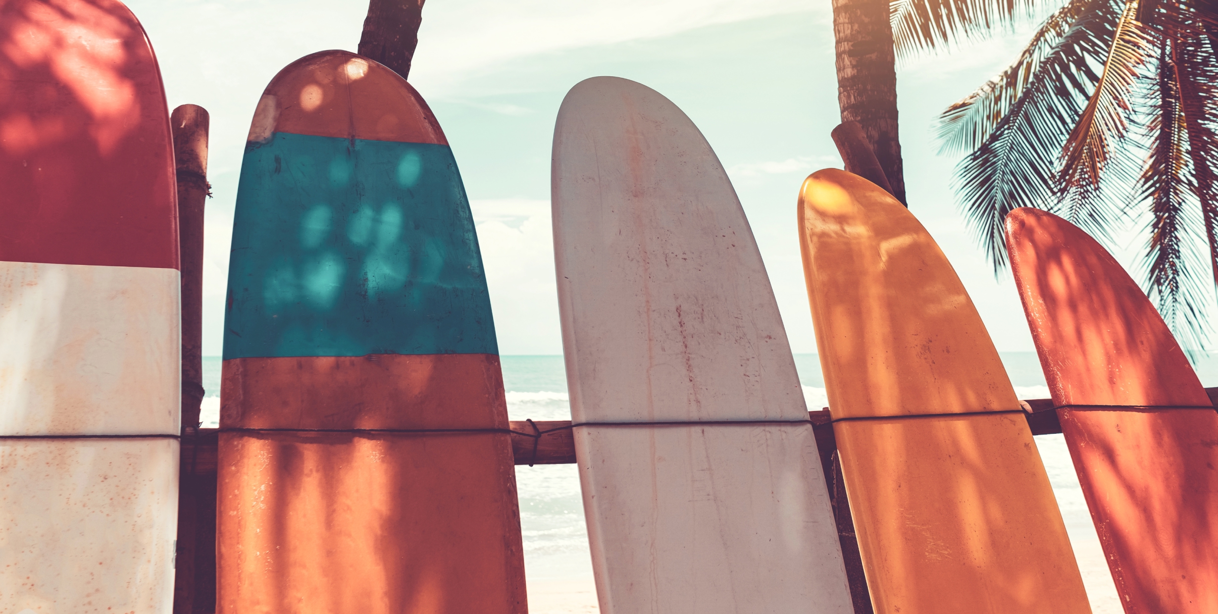 THE SURFER HOUSE